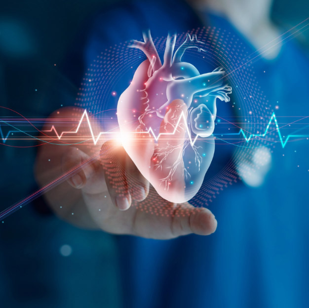 Cardiovascular Medicine Services Kialla Medical Clinic